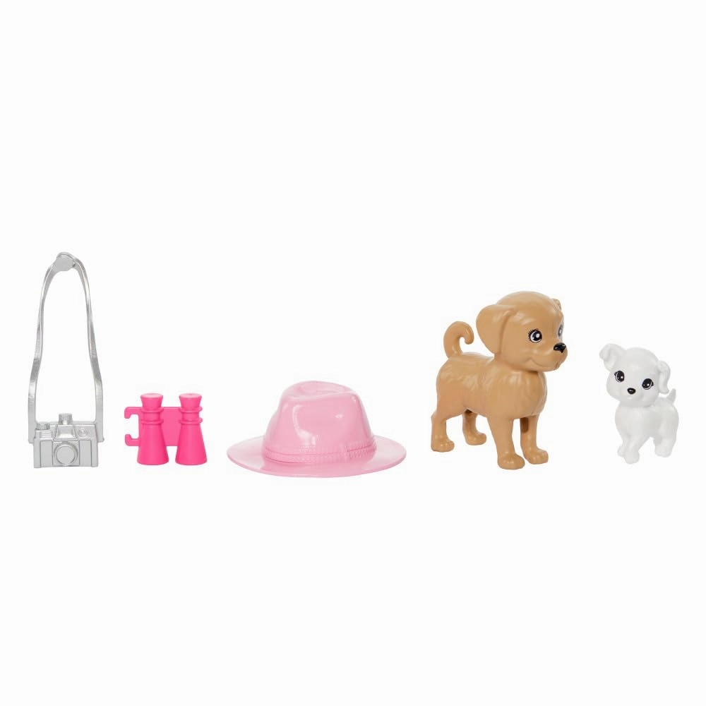 Barbie & Stacie Doll Set with 2 Pet Dogs & Accessories, Dolls with Blonde Hair & Blue Eyes, Summer Clothes