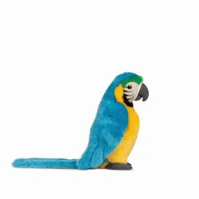 Blue Macaw