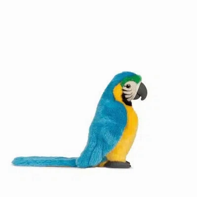 Blue Macaw