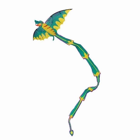 Butterfly/Dragon Kite