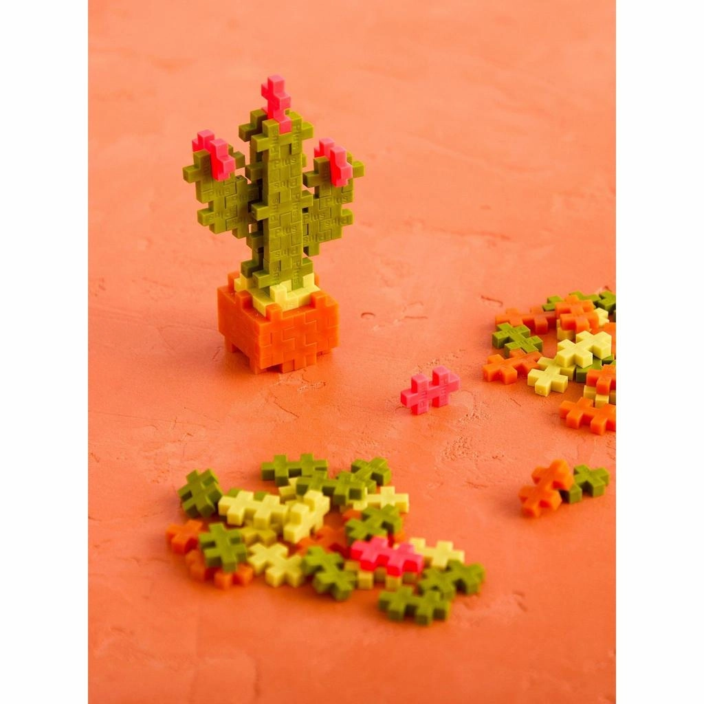 Calm Cactus