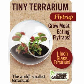Carnivorous Tiny Terrarium Asst.