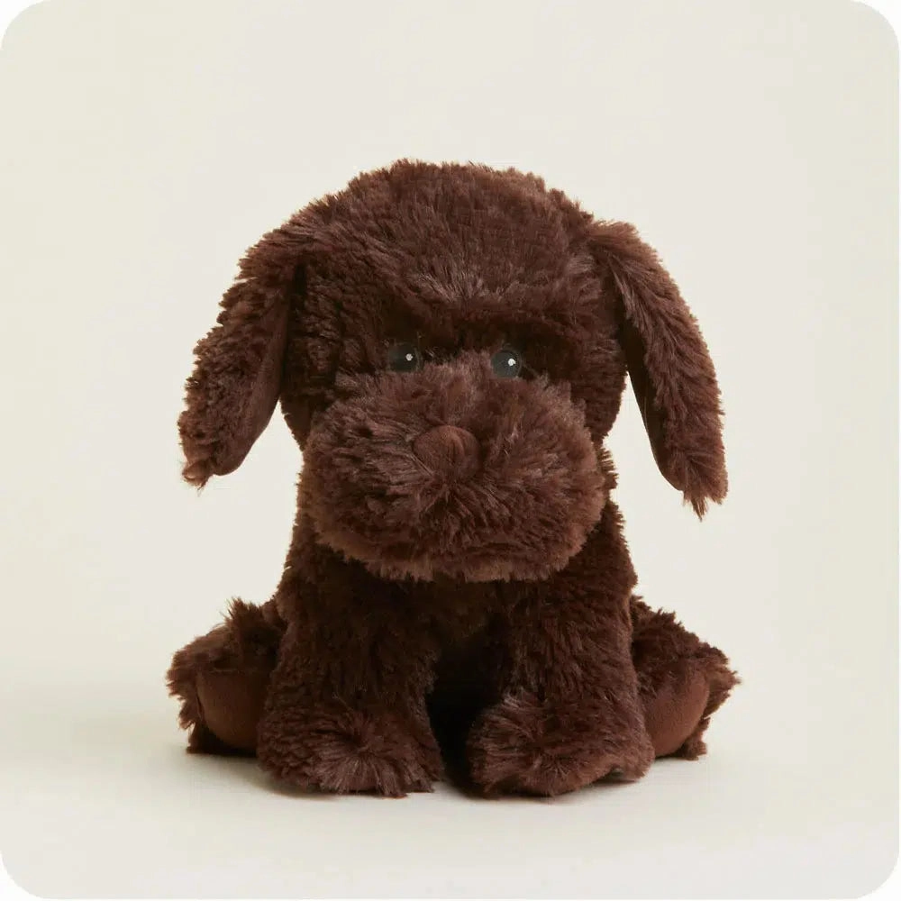 Chocolate Lab - Warmies