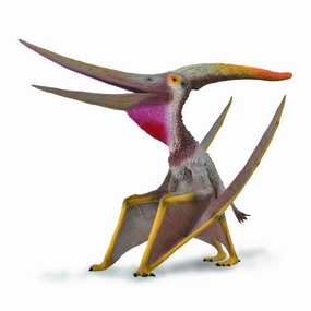 Collecta Deluxe Pteranodon With Moveable Jaw