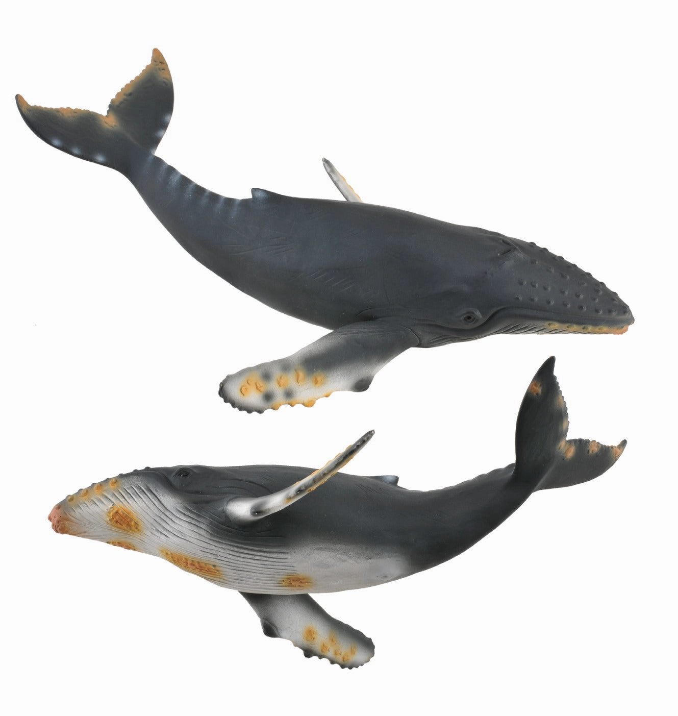 Collecta Humpback Whale Figure (Grey)