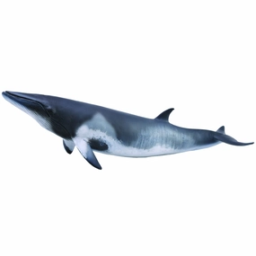 Collecta Minke Whale (Grey)