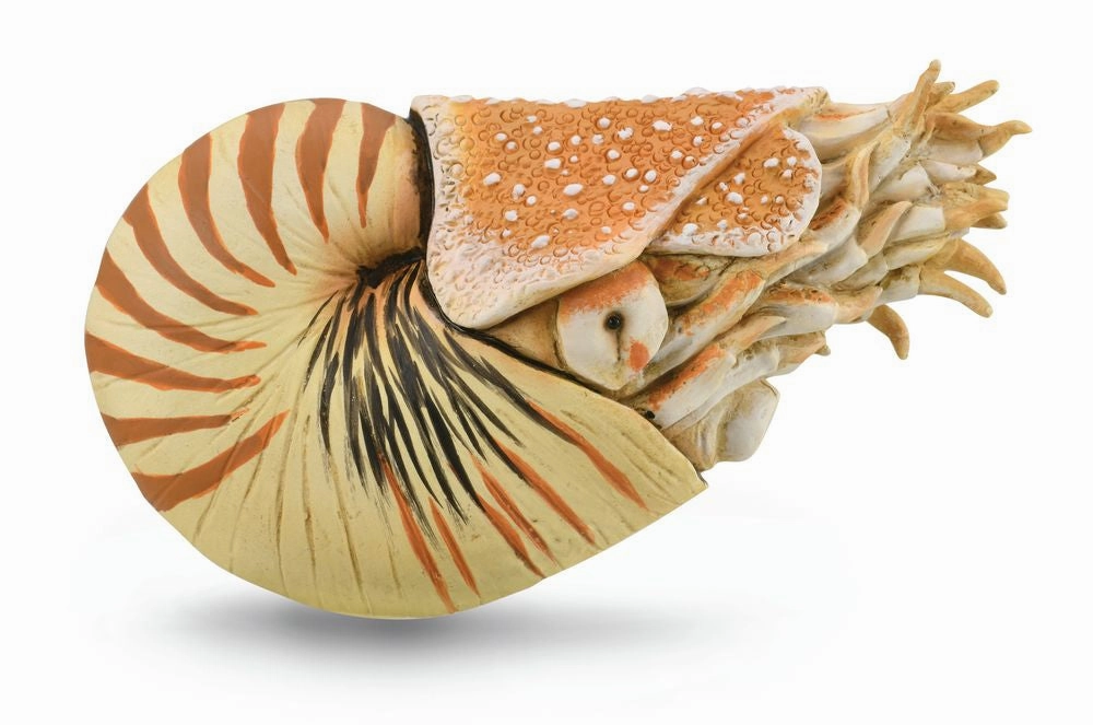 Collecta Nautilus Pompilius (Grey)