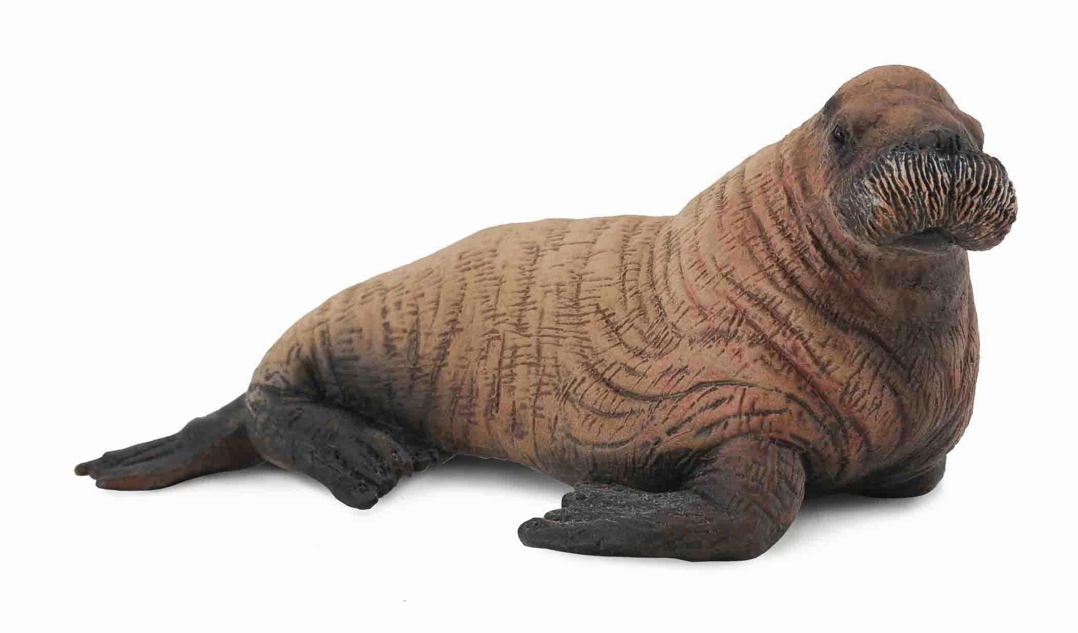 Collecta Walrus Calf Figure (Red)