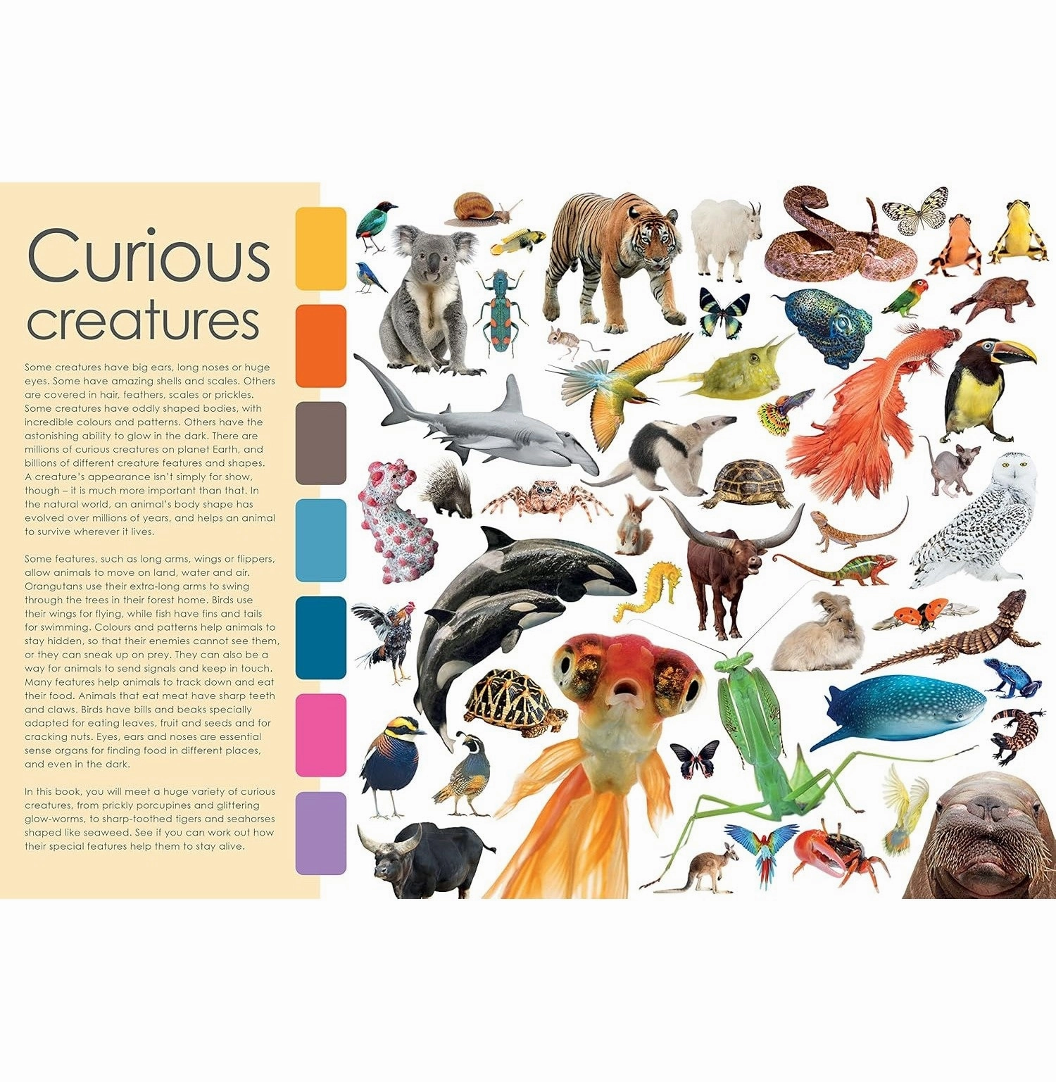 CURIOUS CREATURES : WITH STICKERS