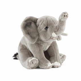 Elephant Living Nature