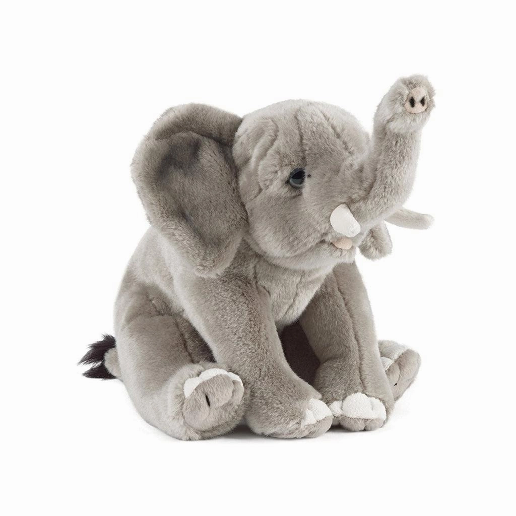 Elephant Living Nature