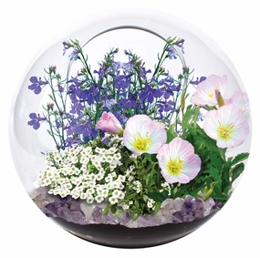 Enchanted Garden Mini Fairy Triad Glass Terrarium Kit