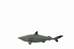 Fumfings Stretchy Beanie Blue Shark