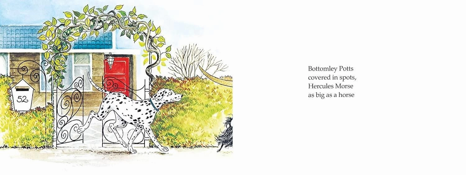 Hairy MacLary From Donaldson's Dairy Children's Book
