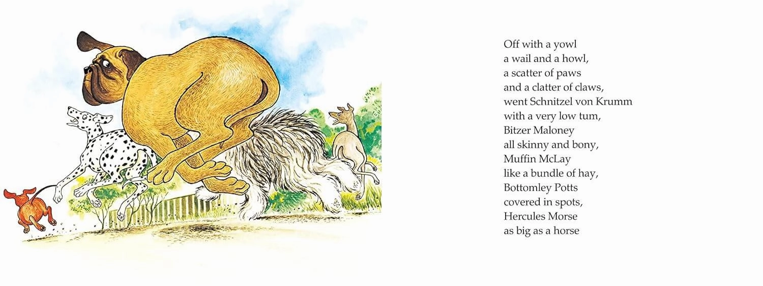Hairy MacLary From Donaldson's Dairy Children's Book