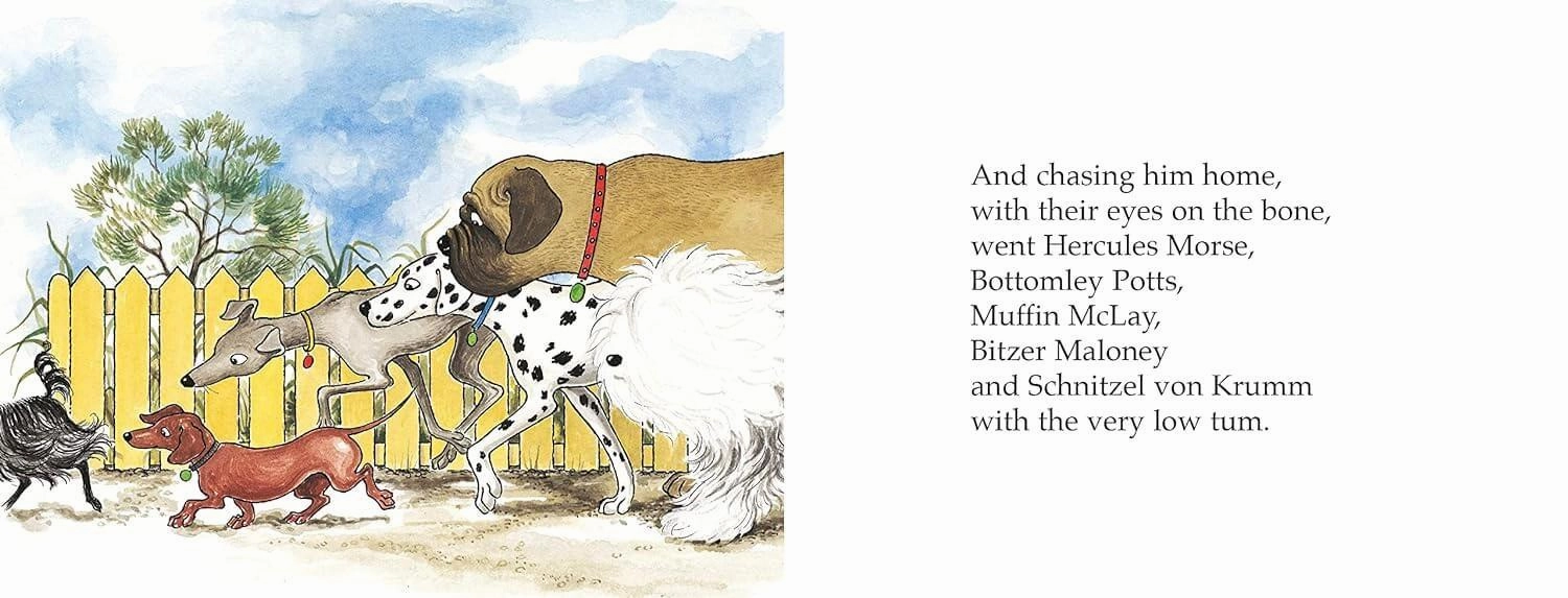 Hairy MacLary's Bone Children's Book