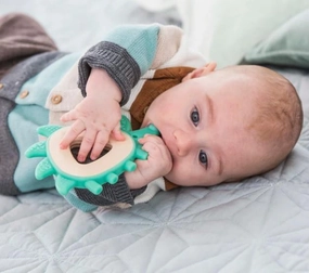 Hape Hedgehog Teether Toy with Embossed Silicone Suitable from Birth