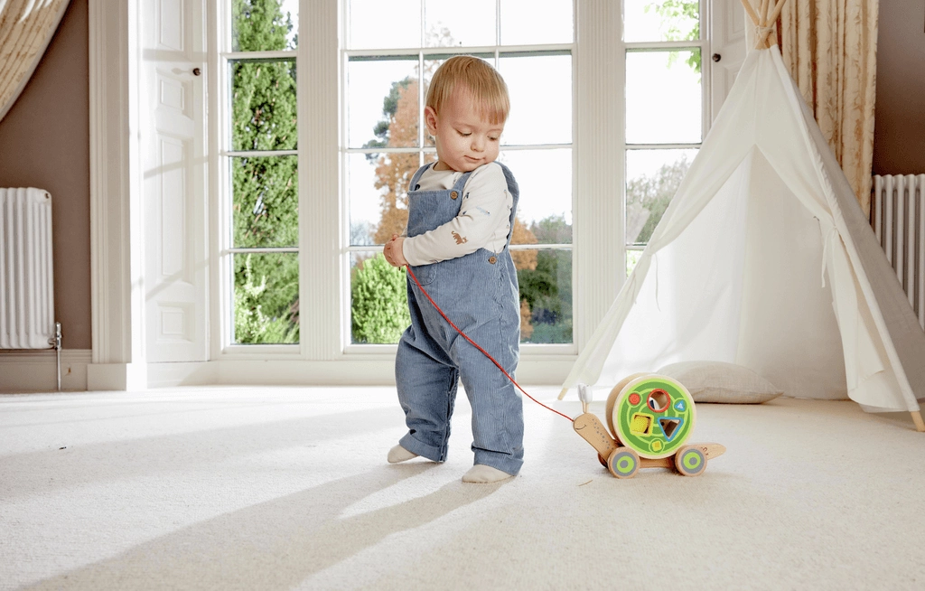 Hape Walk-A-Long Snail Pull Along and Shape Sorter Toy for Ages 1 & Up