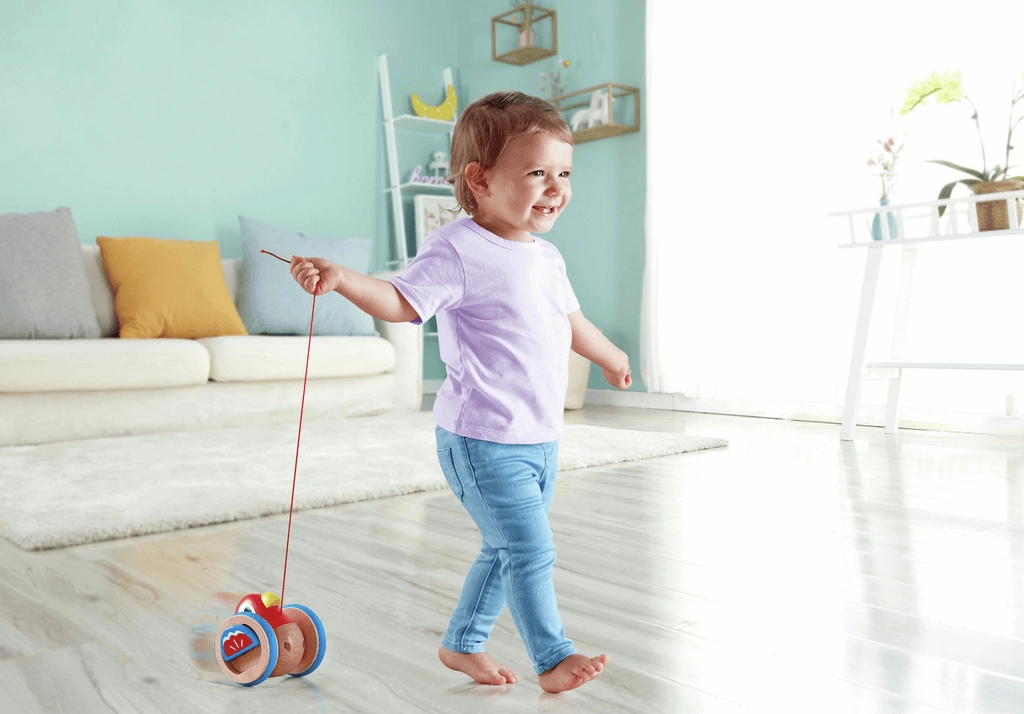 Hape Wooden Pull Along Bird Toy with Flapping Wings for Ages 1 and Up