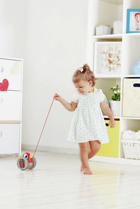 Hape Wooden Pull Along Bird Toy with Flapping Wings for Ages 1 and Up
