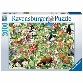 Jungle 2000pc