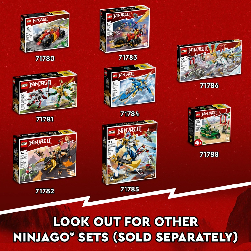 LEGO 71787 NINJAGO Creative Ninja Brick Box