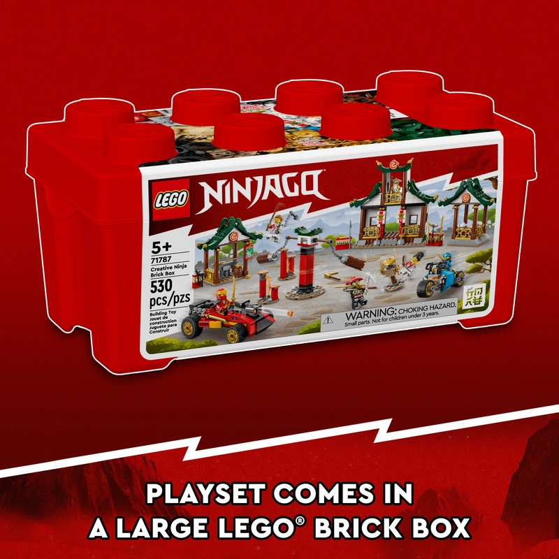 LEGO 71787 NINJAGO Creative Ninja Brick Box