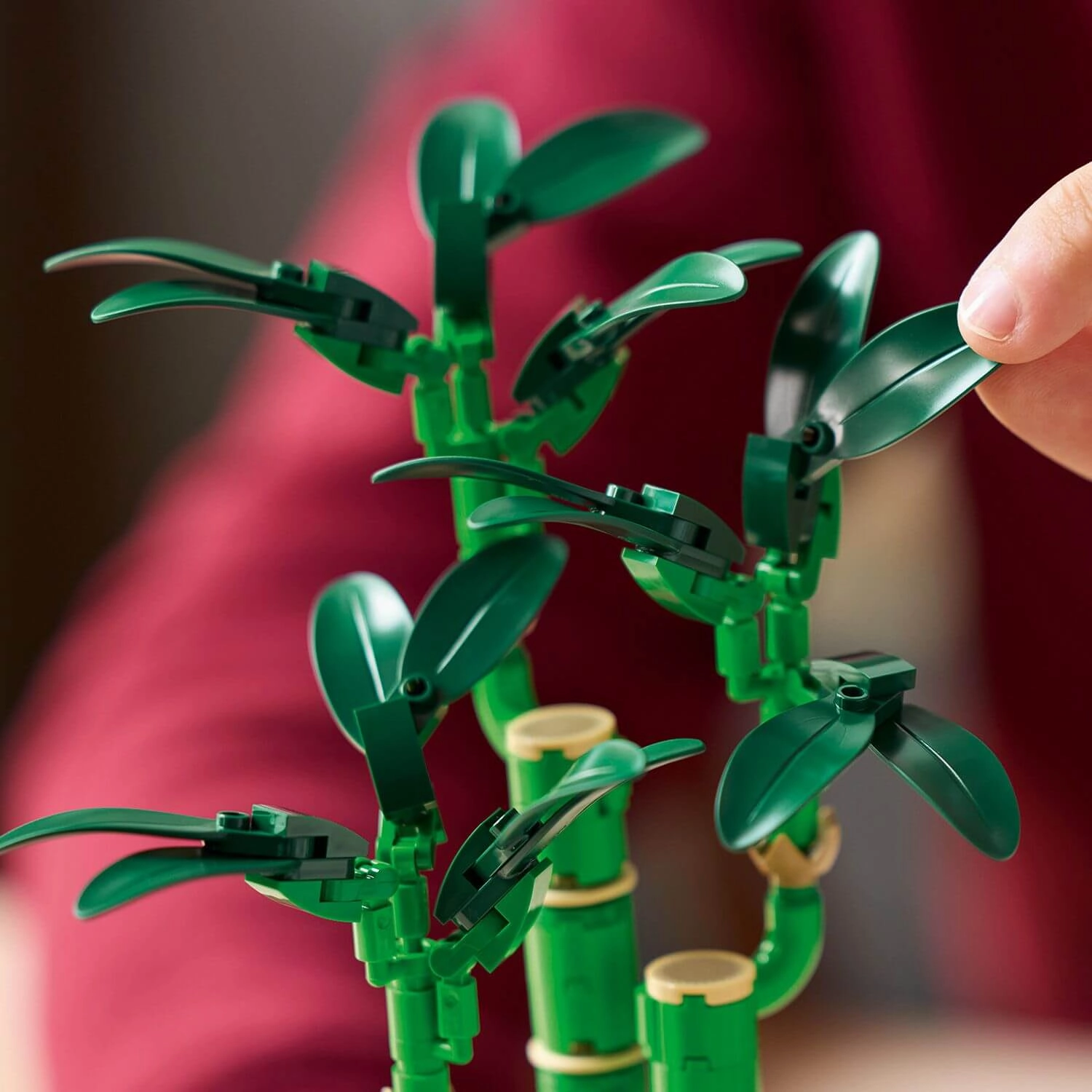 Lego Botanicals 10344 Lucky Bamboo Building Set for Adults Age 18 & Up
