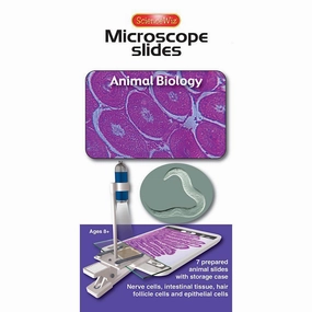 Microscope Slides: Animal Biology