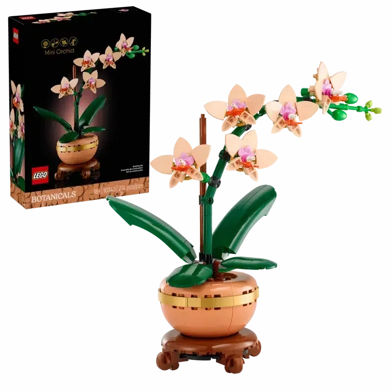 Mini Orchid
