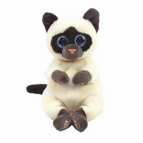Miso - Small Siamese Cat