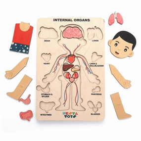 Nesta Toys Wooden Human Body Anatomy Puzzle 14 Pcs - Montessori Puzzle for Preschoolers and Kids Ages 3 