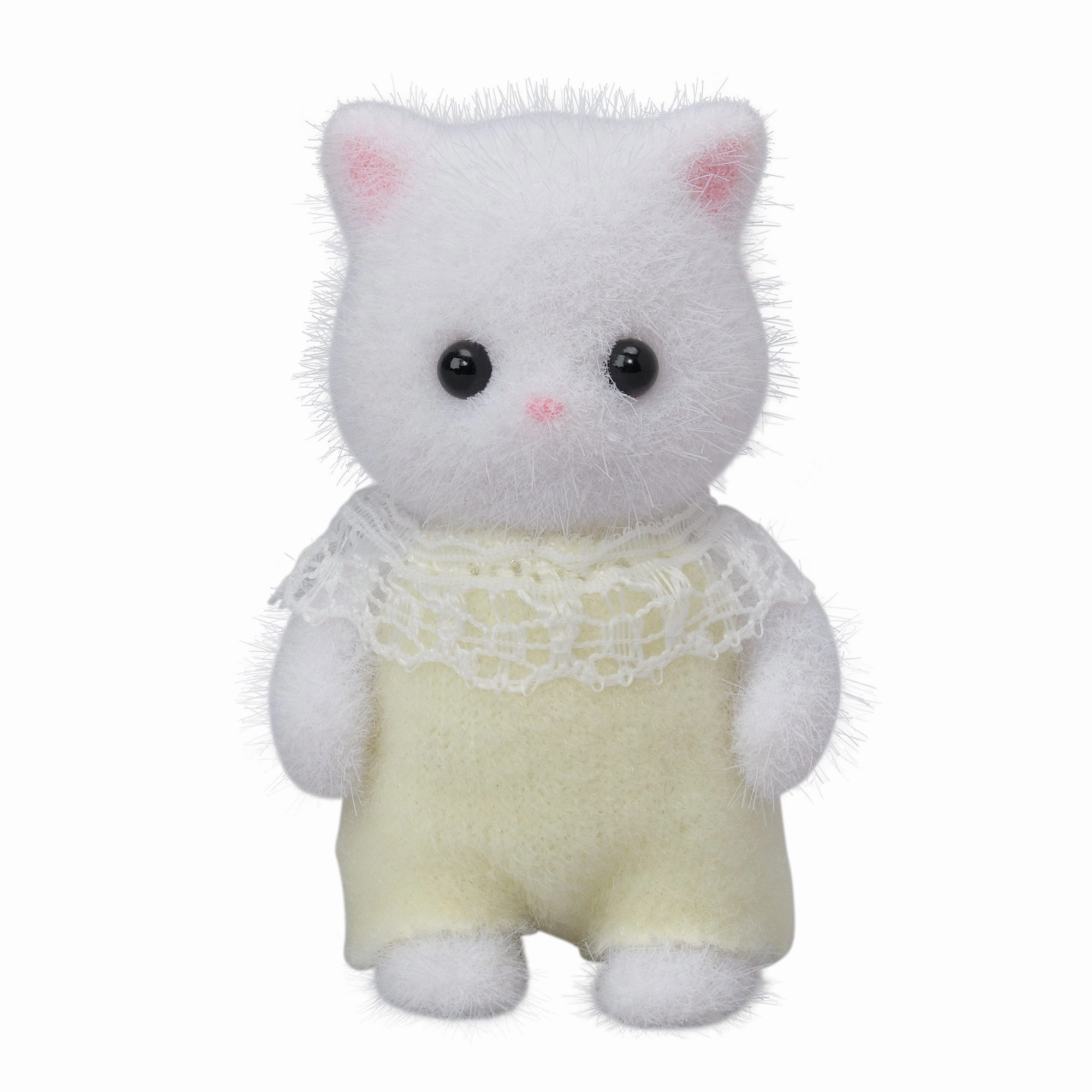 Persian Cat Baby