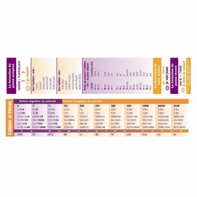 Poster Pals French Verb Conjugation Reference Bookmarks - 64 Pack