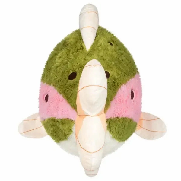 Rainbow Trout