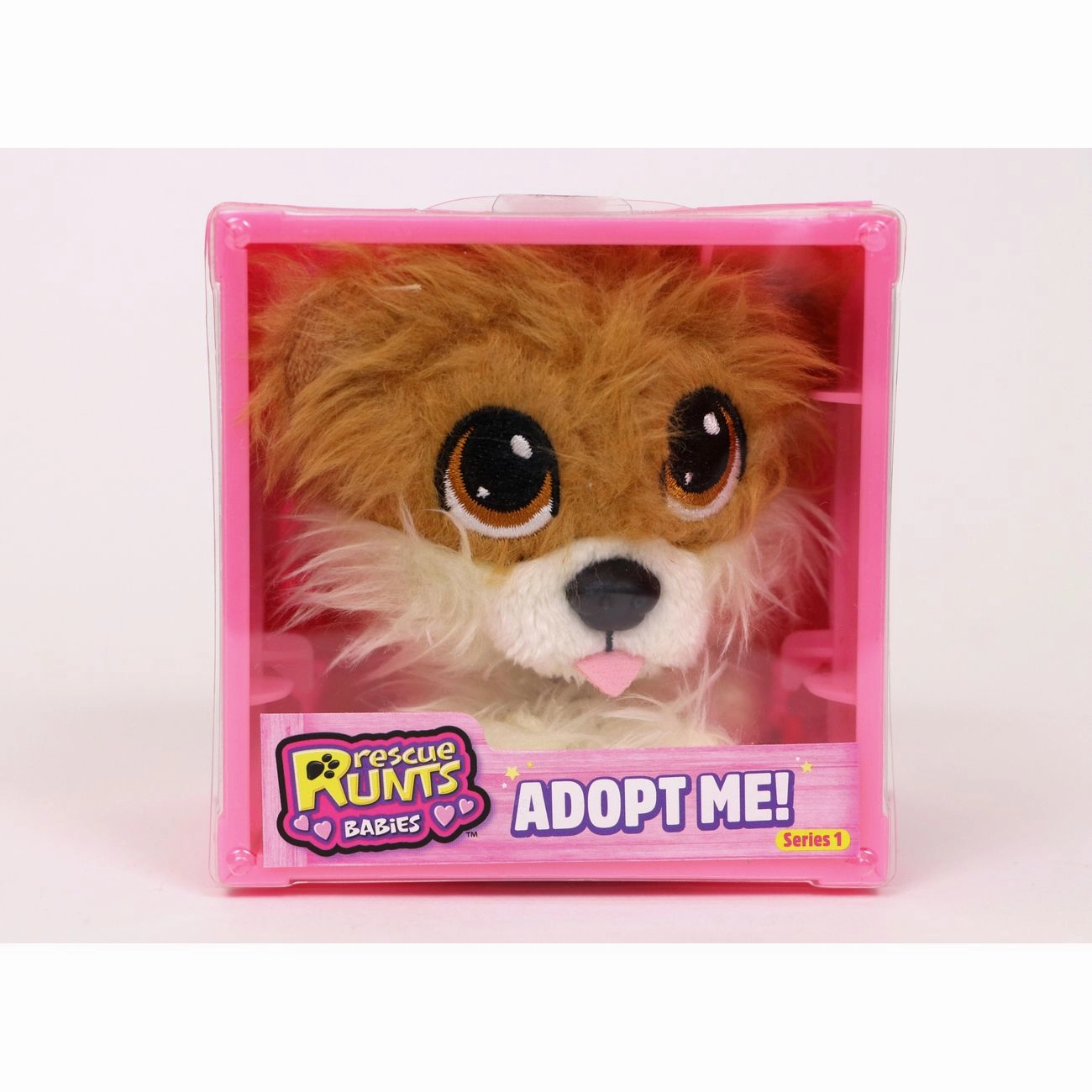 Rescue Runts Babies Pomeranian