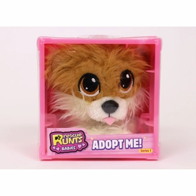 Rescue Runts Babies Pomeranian
