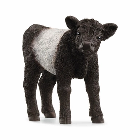 Schleich Farm World 13969 Galloway Calf Toy Figurine for Ages 3 and Up