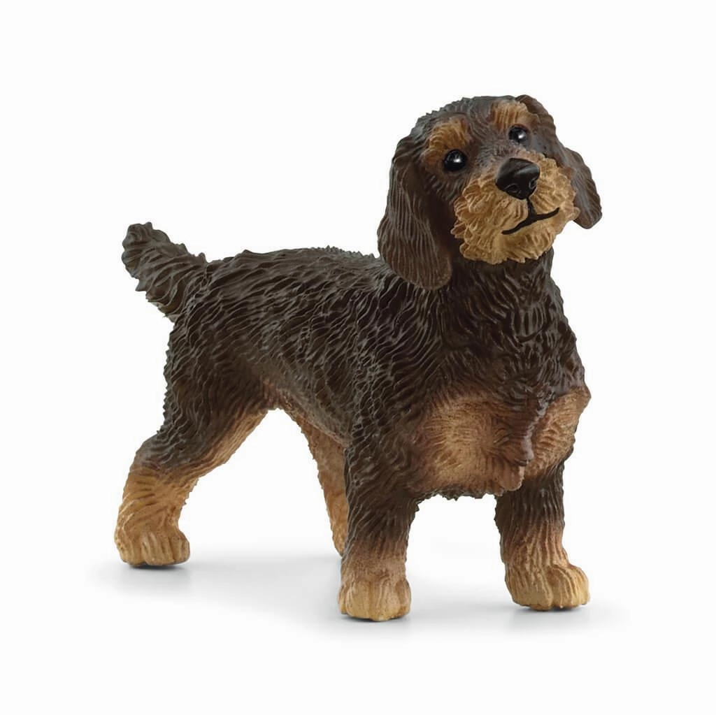 Schleich Farm World 13972 Wire-Haired Dachshund Figure for Ages 3 & Up