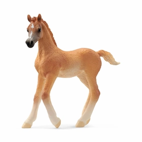 Schleich Horse Club 13984 Arabian Foal Toy Figurine for Ages 5 and Up