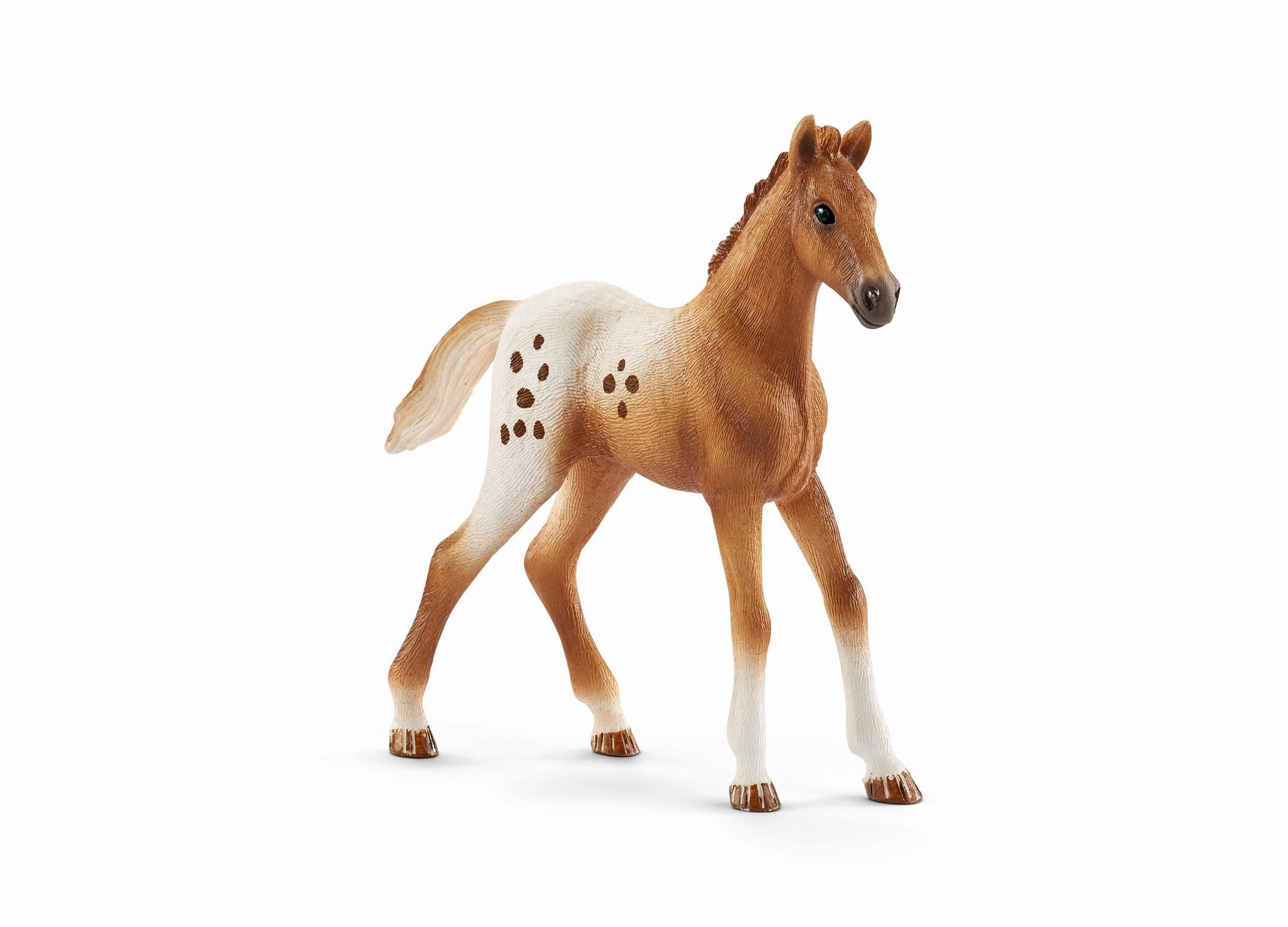 Schleich Horse Club: Lisa's Tournament Training - 11 Piece Playset
