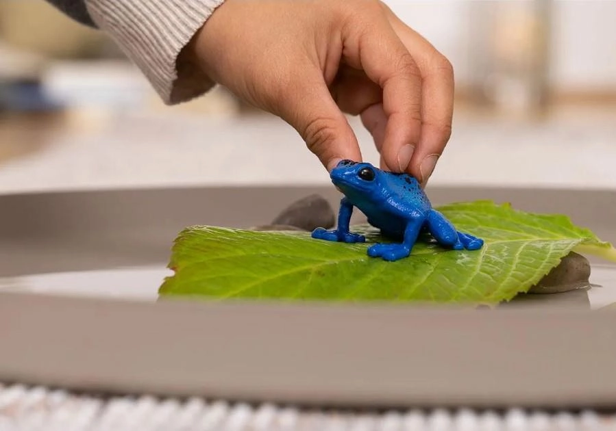 Schleich Wild Life 14864 Blue Poison Dart Frog Figurine for Age 3 & Up