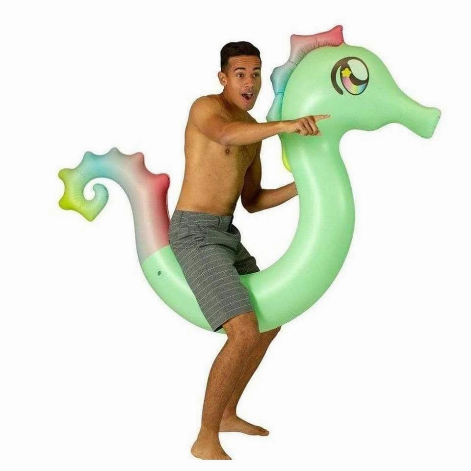 Seahorse Ride-On Pool Noodle