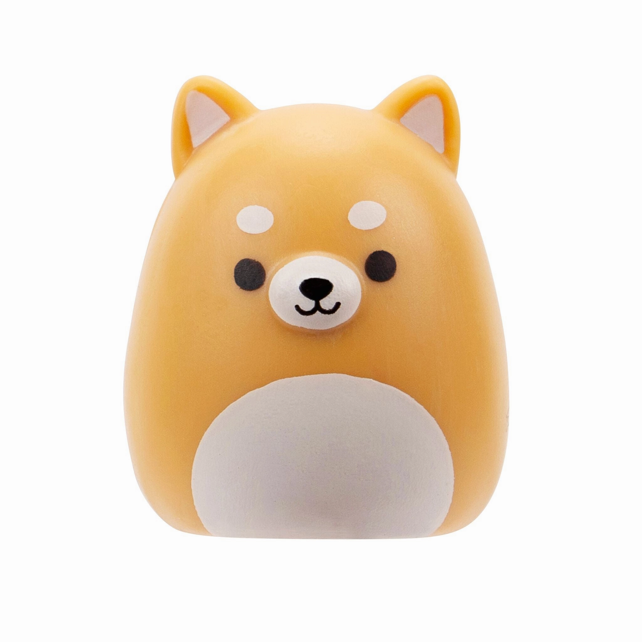 Squishalongs 2 Pack Blind Assortment