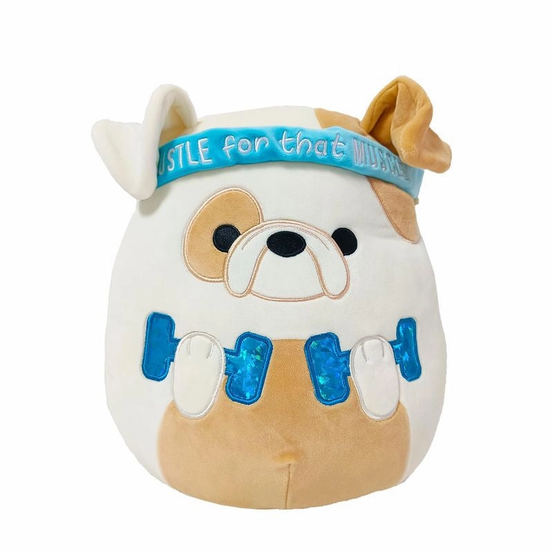 Squishmallows 12Inch(30cm) Wellness Group Plush Brock