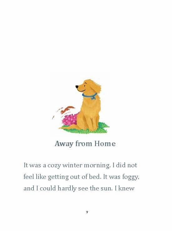 Sudha Murty Gopi's Day Out! (The Gopi Diaries) Story Book for ages 7 