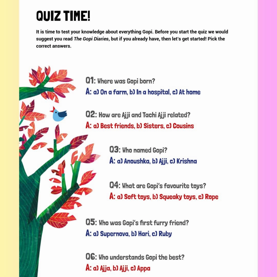 Sudha Murty The Gopi Fun Activity Story Book for ages 7 