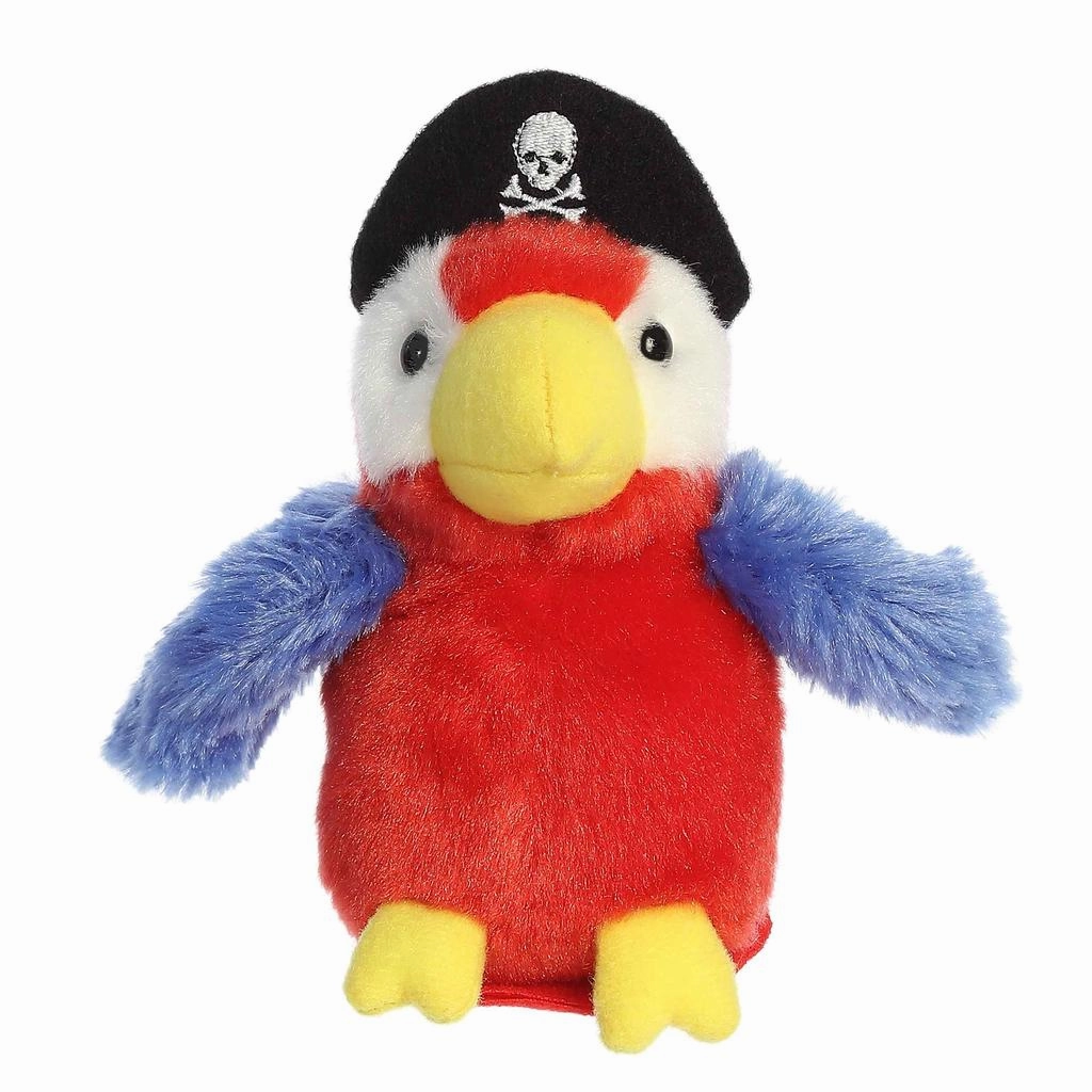 Swashbuckler Pirate