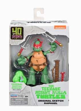 Teenage Mutant Ninja Turtle Original Sketch Raphael