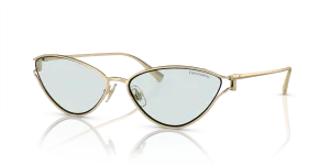 Tiffany TF3095 6196MF